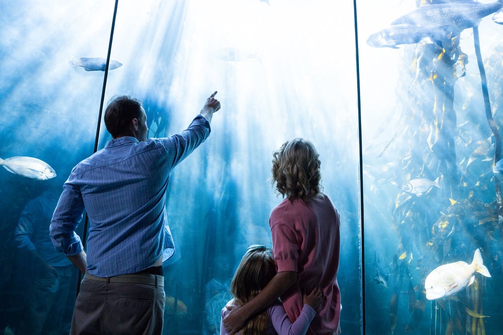 Aquarium